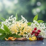 Winter Honeysuckle & Elderflower&nbsp;Parfümöl